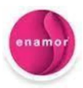 Enamor logo