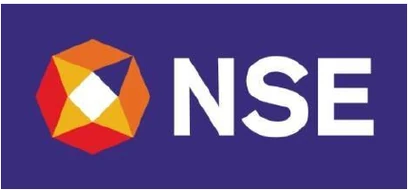 NSE logo